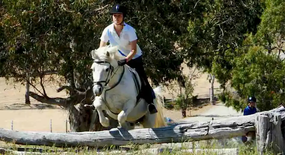 jumper a woman on a horse jumping a log fence